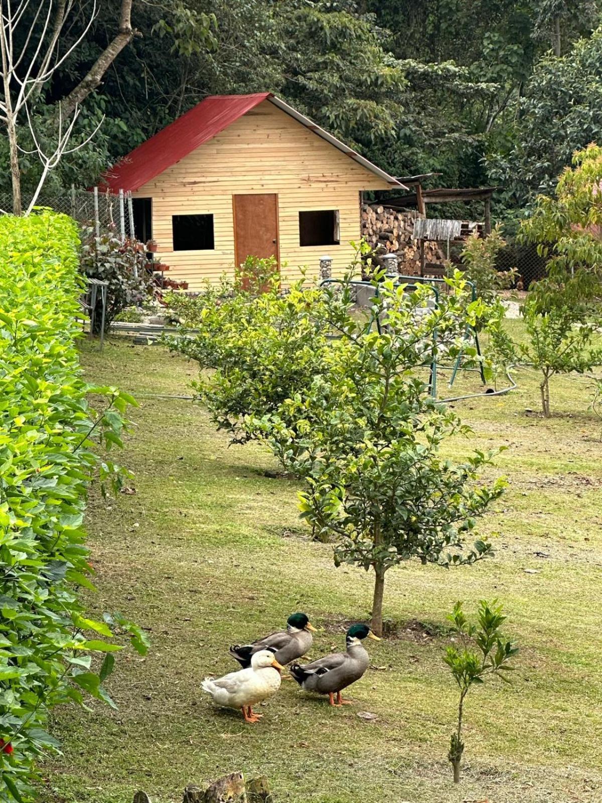 HASSINGER RANCH Cabañas Oxapampa Exterior foto